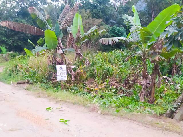 #79 - Terreno para Venda em São Francisco do Sul - SC