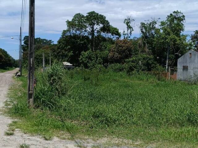 Terreno para Venda em Itapoá - 4